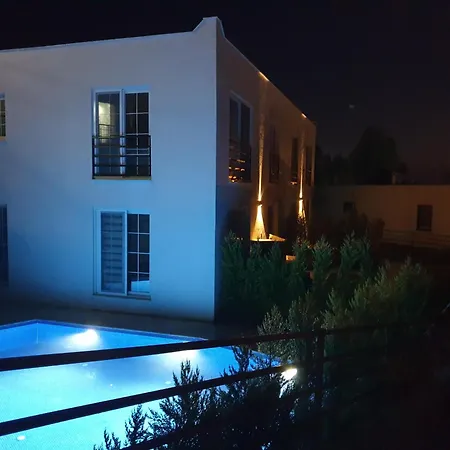 Apartment No 444 *